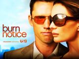 Burn Notice é renovada para 7ª temporada